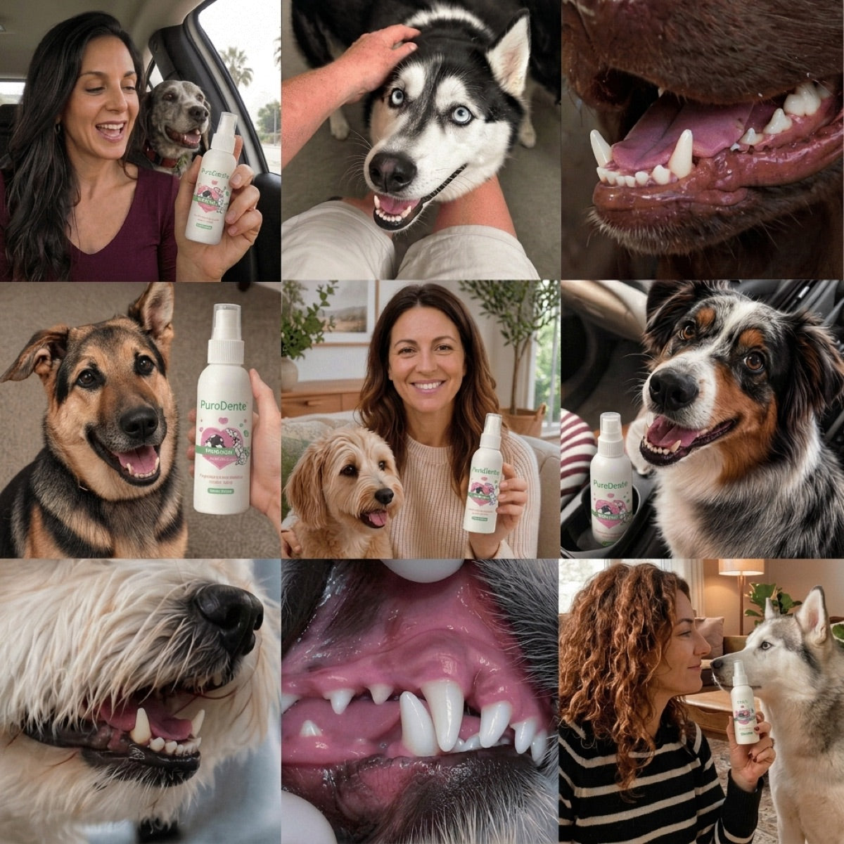 PuroDente — Spray Dentale per Cani