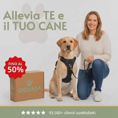 Pettorina Antitraino