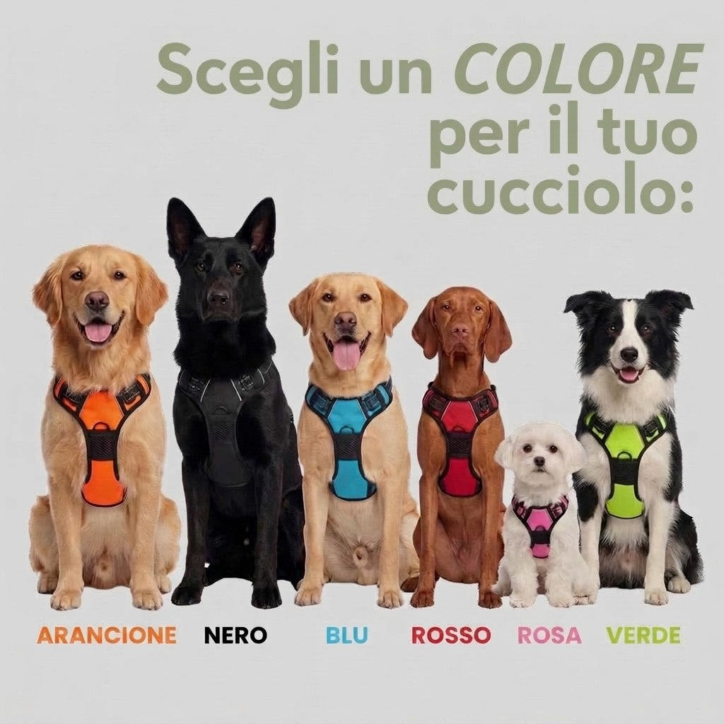 Pettorina Antitraino