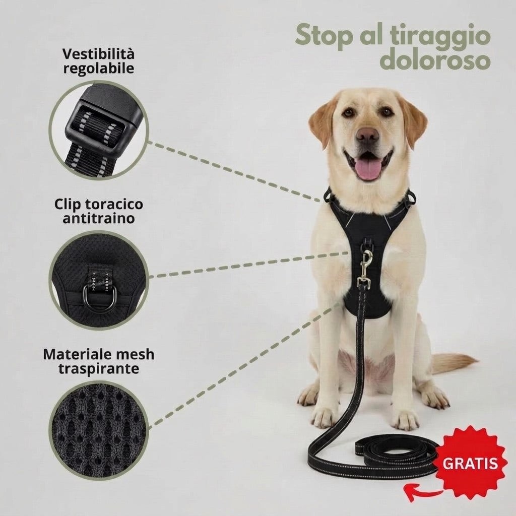 Pettorina Antitraino