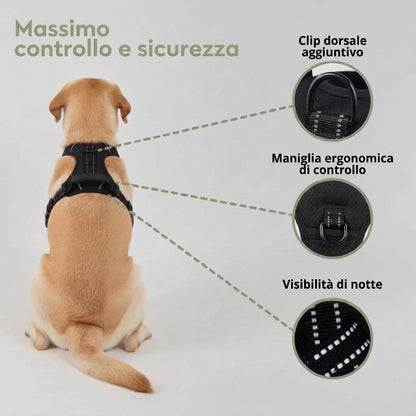 Pettorina Antitraino