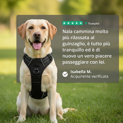 Pettorina Antitraino