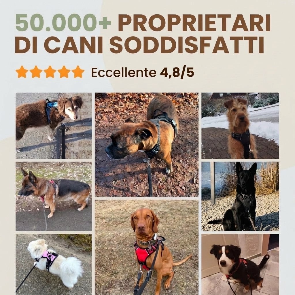 Pettorina Antitraino
