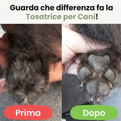 prima-dopo