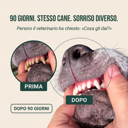 PuroDente — Spray Dentale per Cani