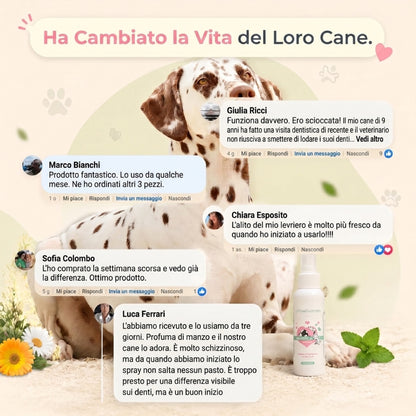 PuroDente — Spray Dentale per Cani