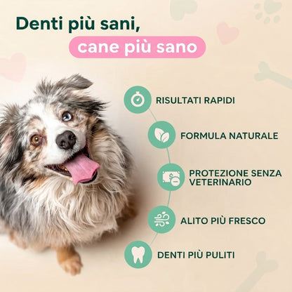 PuroDente — Spray Dentale per Cani