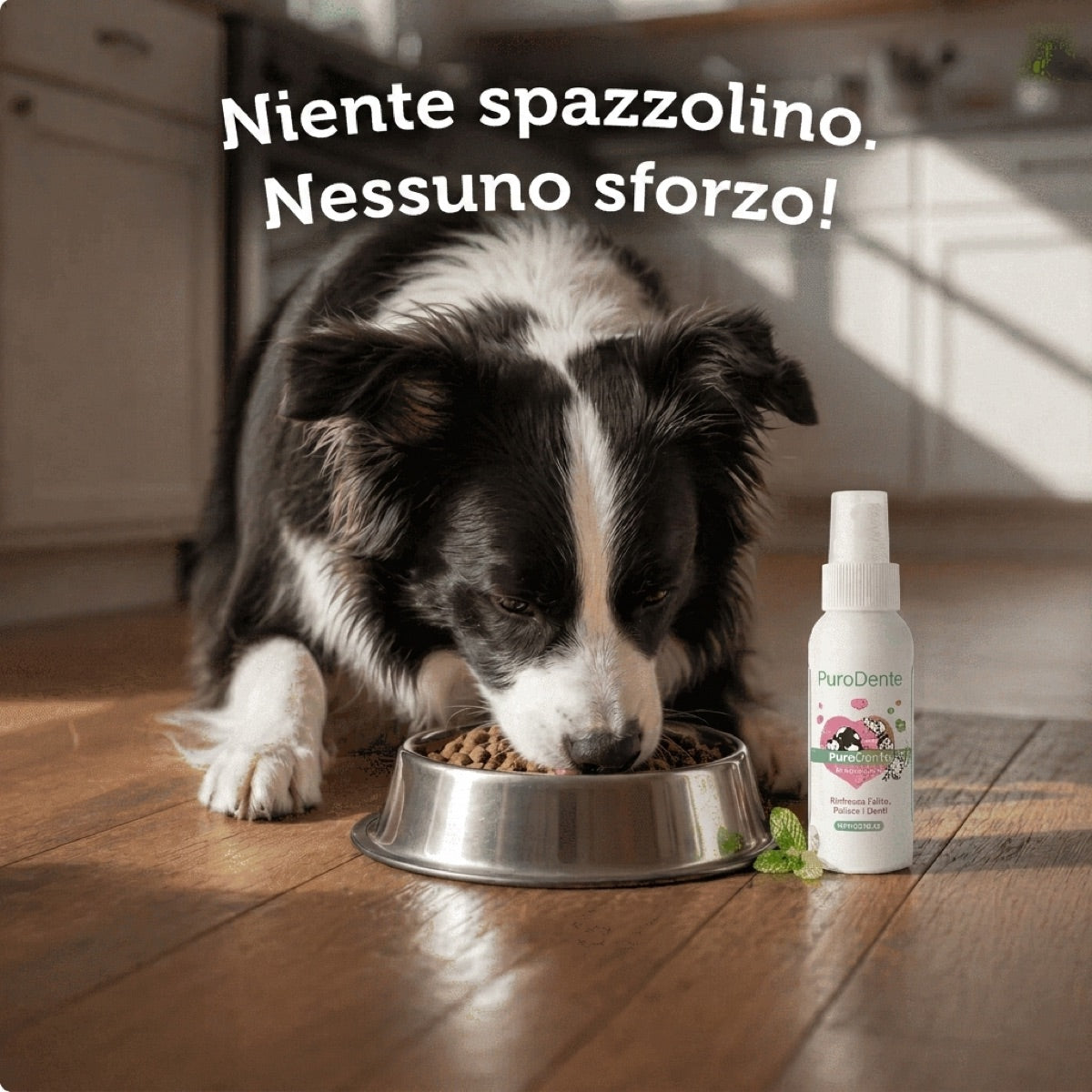 PuroDente — Spray Dentale per Cani