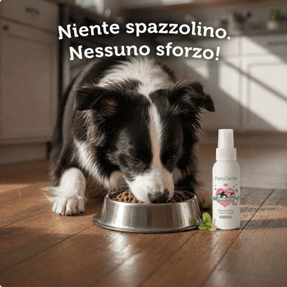 PuroDente — Spray Dentale per Cani