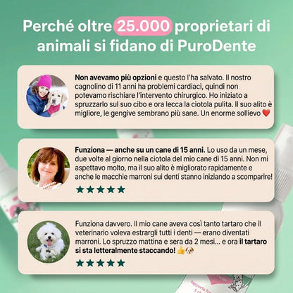 PuroDente — Spray Dentale per Cani