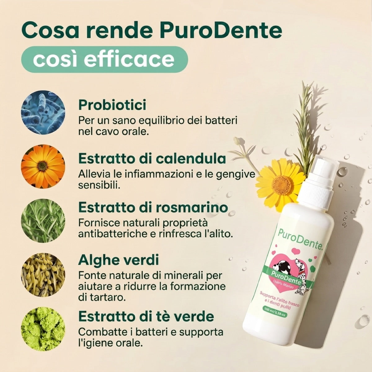 PuroDente — Spray Dentale per Cani